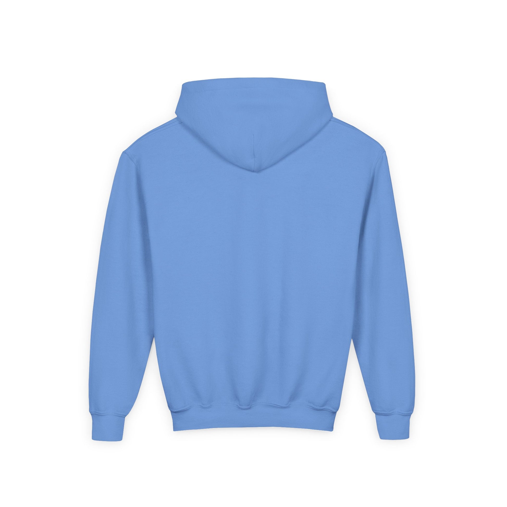 Heavy Blend Hoodie