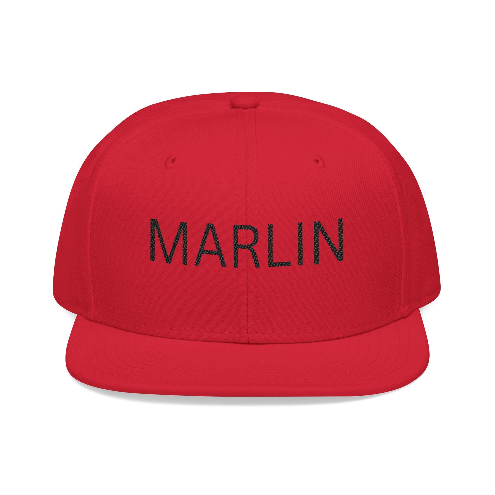 Snapback Hat