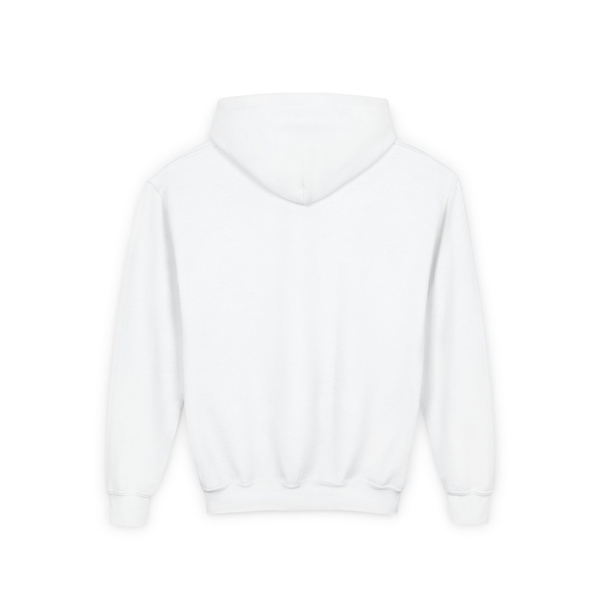 Heavy Blend Hoodie
