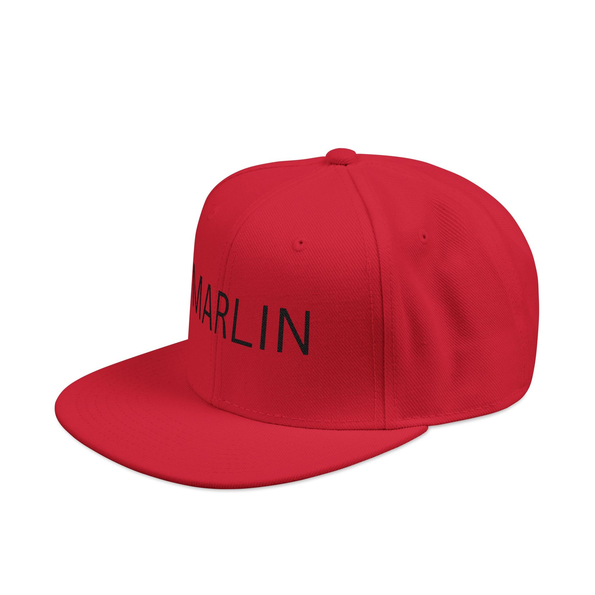Snapback Hat
