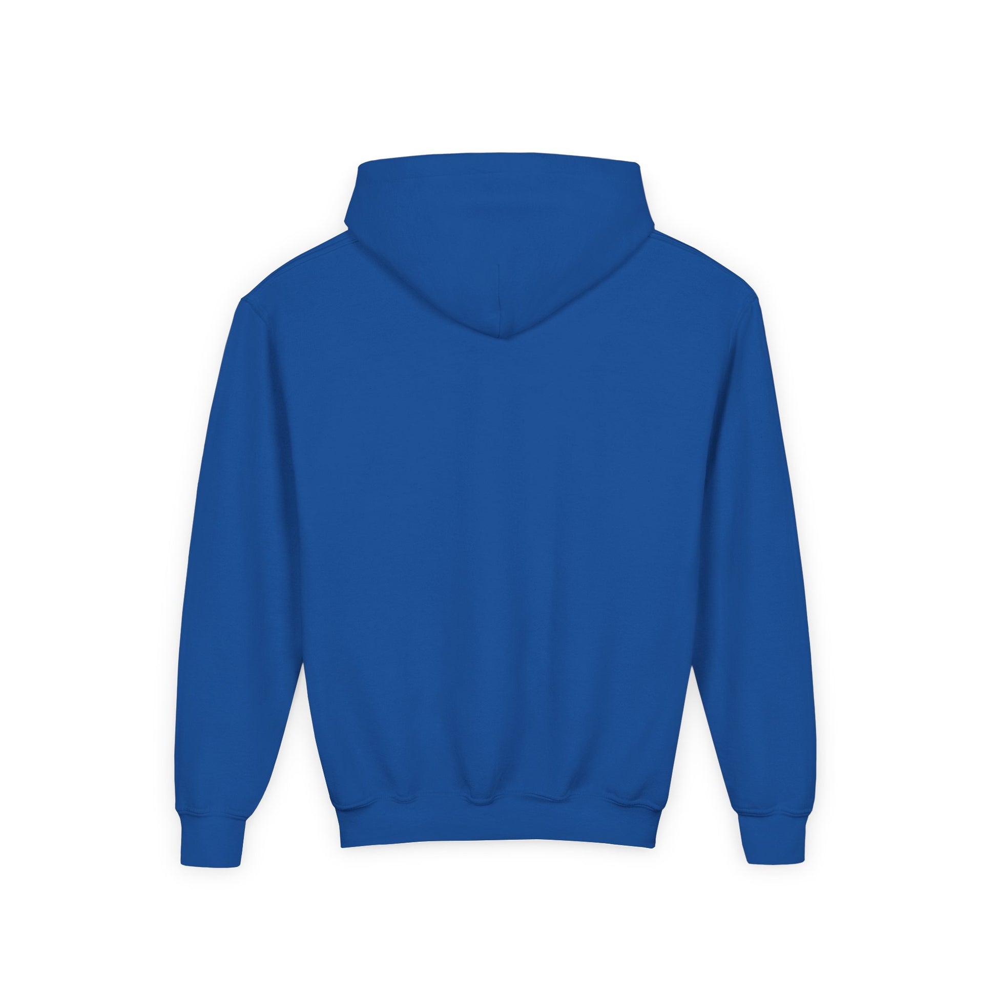 Heavy Blend Hoodie