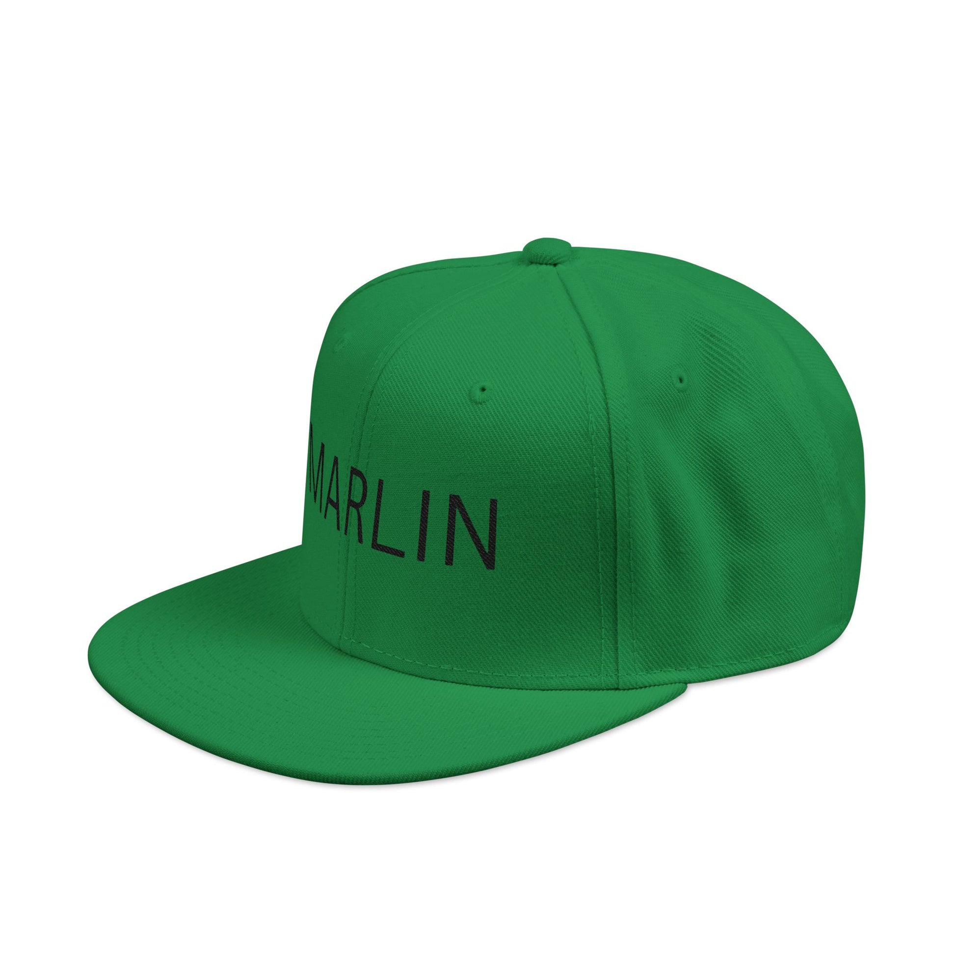 Snapback Hat