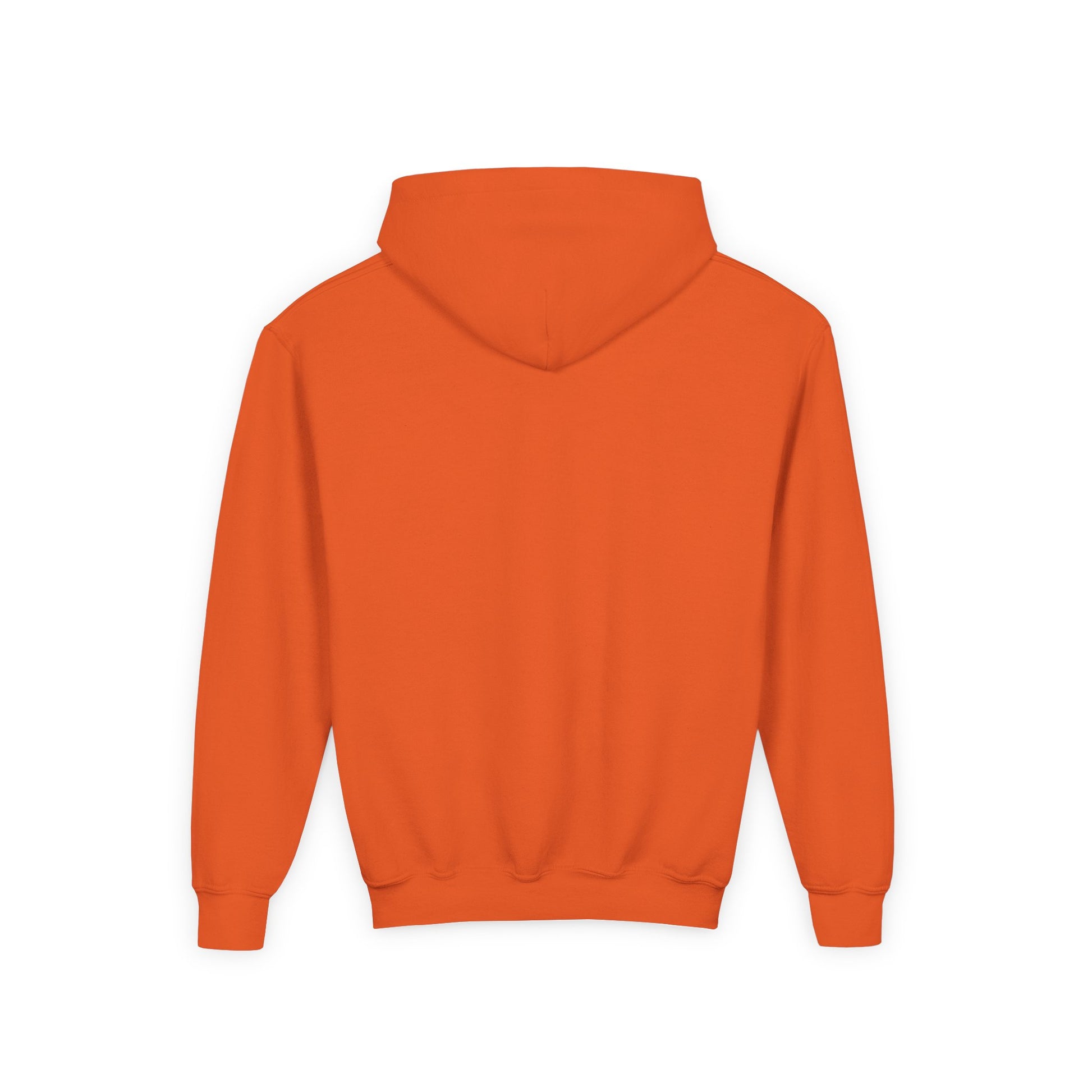 Heavy Blend Hoodie